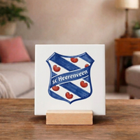 Logo SC Heerenveen - 2
