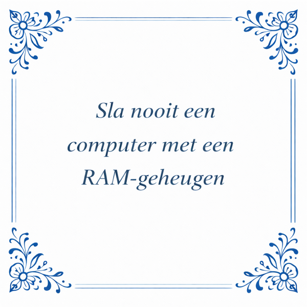 Tegeltje "Sla Nooit Een Computer Met Een RAM-Geheugen"